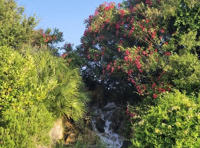 Tenute Delogu Wine - Alghero (adults Only) *