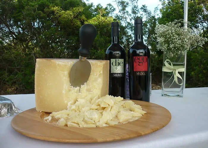 Tenute Delogu Wine - Alghero (adults Only) * Santa Maria la Palma