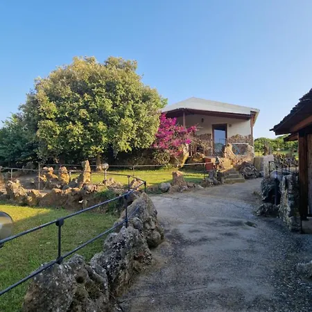 Tenute Delogu Wine Resort - Alghero (Adults Only) Lantgård