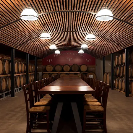 Tenute Delogu Wine Resort - Alghero (Adults Only) Lantgård