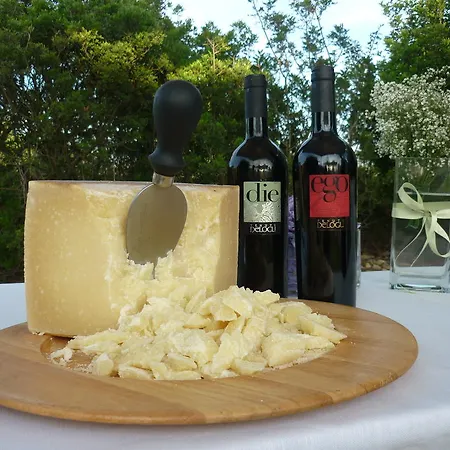Tenute Delogu Wine - Alghero (adults Only) * Santa Maria la Palma