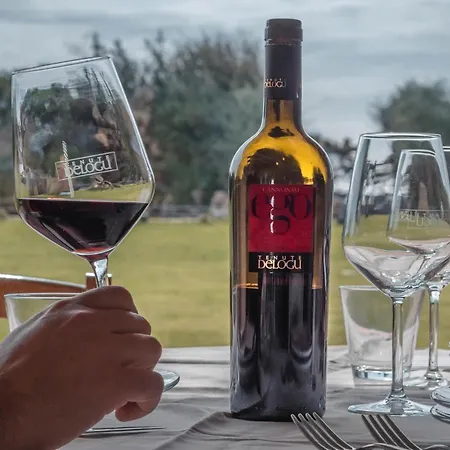 Tenute Delogu Wine Resort - Alghero (Adults Only) Lantgård *